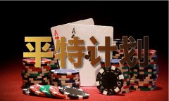 六全宝典材料大全解码大师
